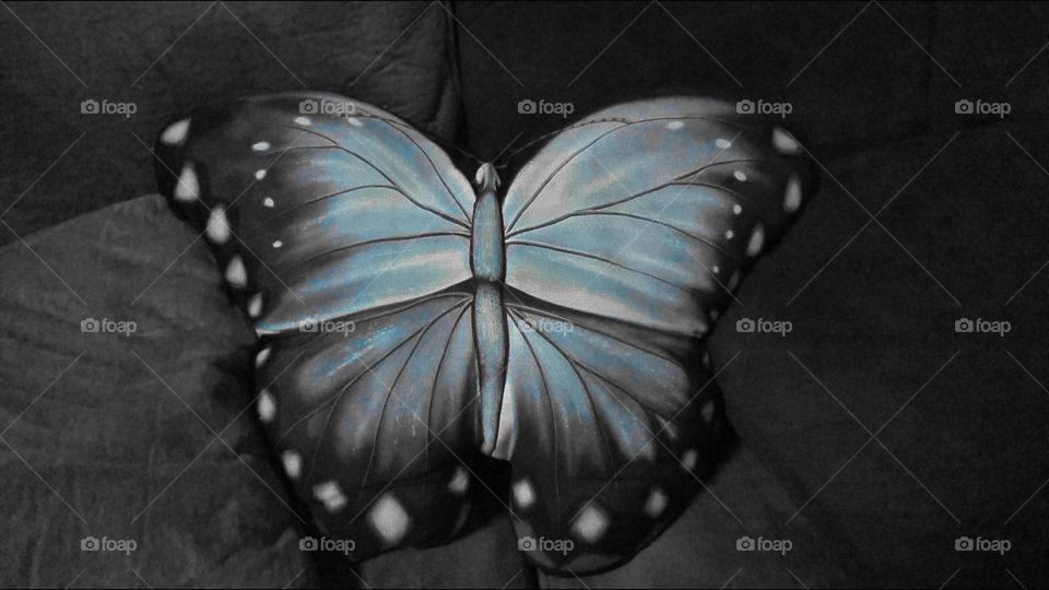 Butterfly pillow 2