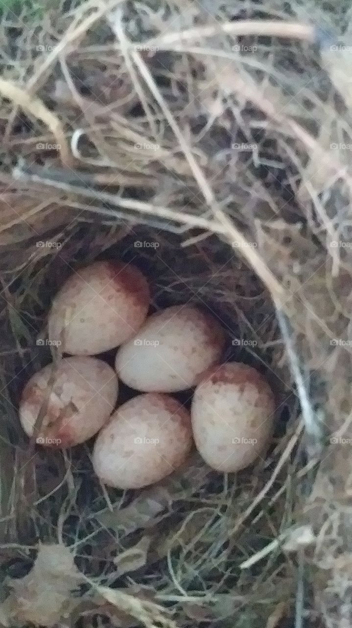 a next outside on porch