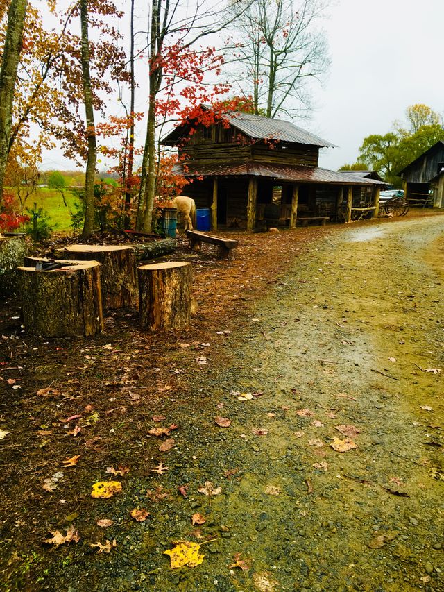 Outdoor 