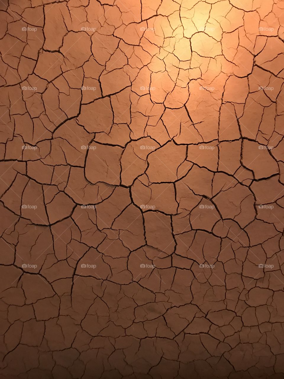 Crackled dry mud as textural background 