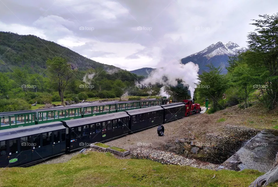Train