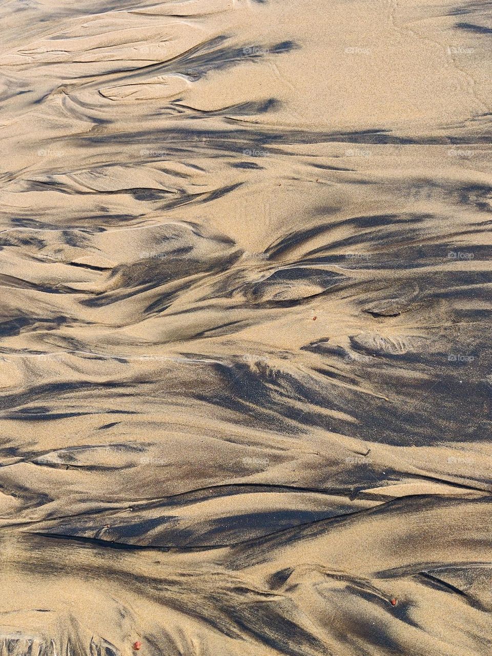 patterns on the wet sand . instagram @ritusangle