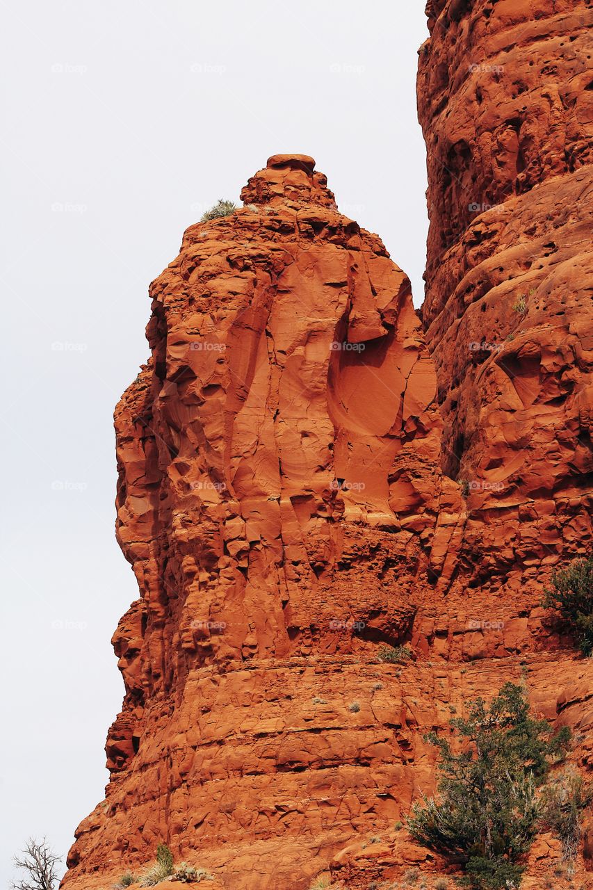 Sedona red rock 
