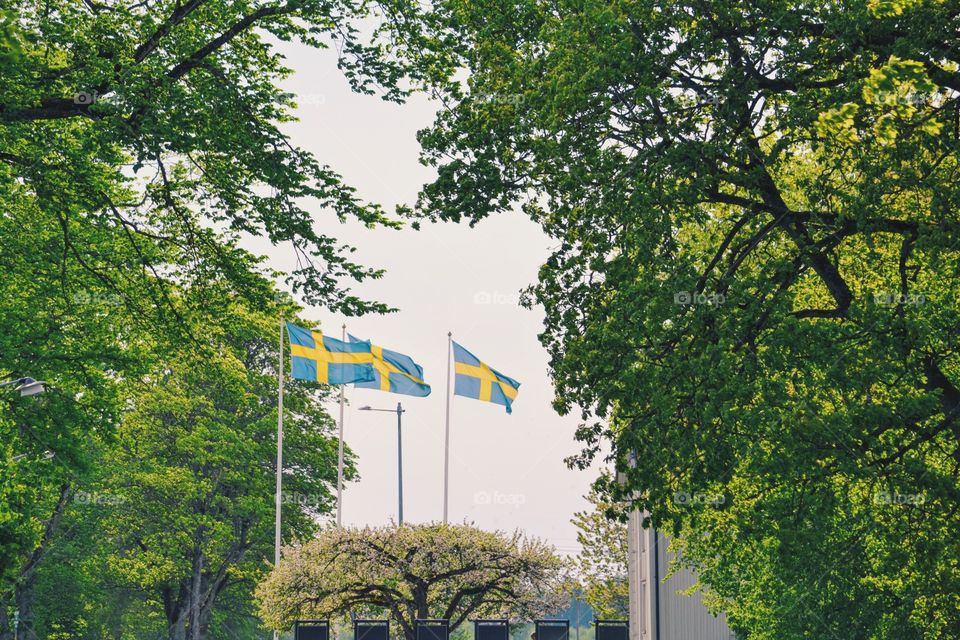 Swedish flags