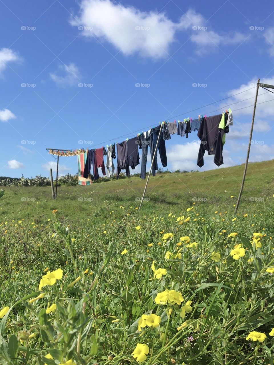 Springtime for laundry