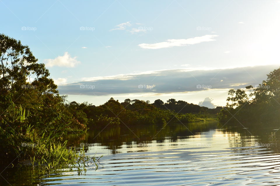 Amazon river