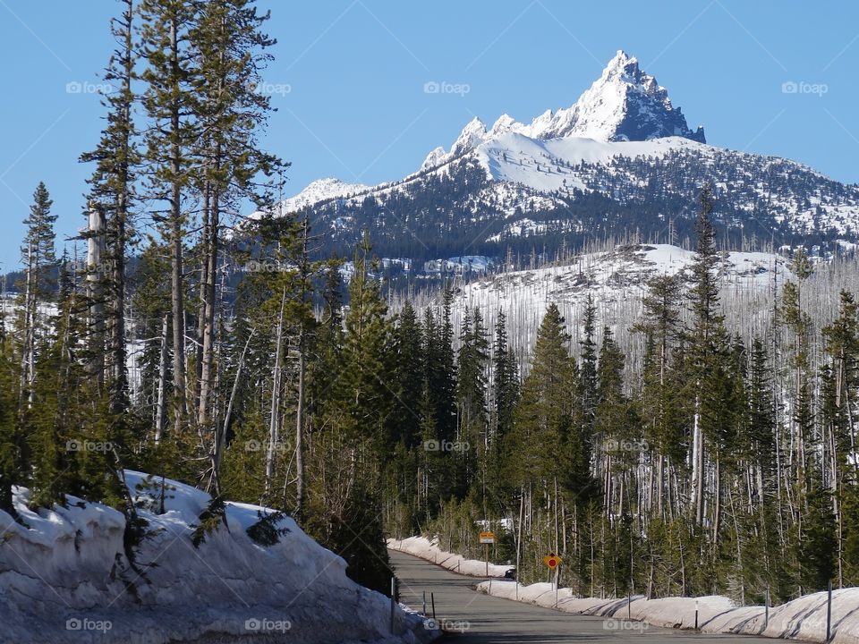 The magnificent snow covered Three Fingered Jack in Oregon’s Cascade Mountain Range against a clear blue sky on a beautiful spring day. 