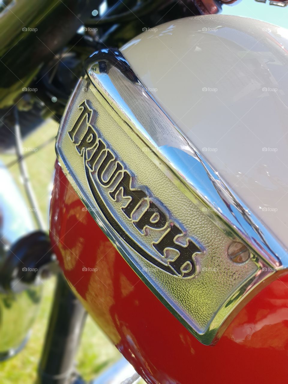 Classic motorcycle tank. Triumph Bonneville.