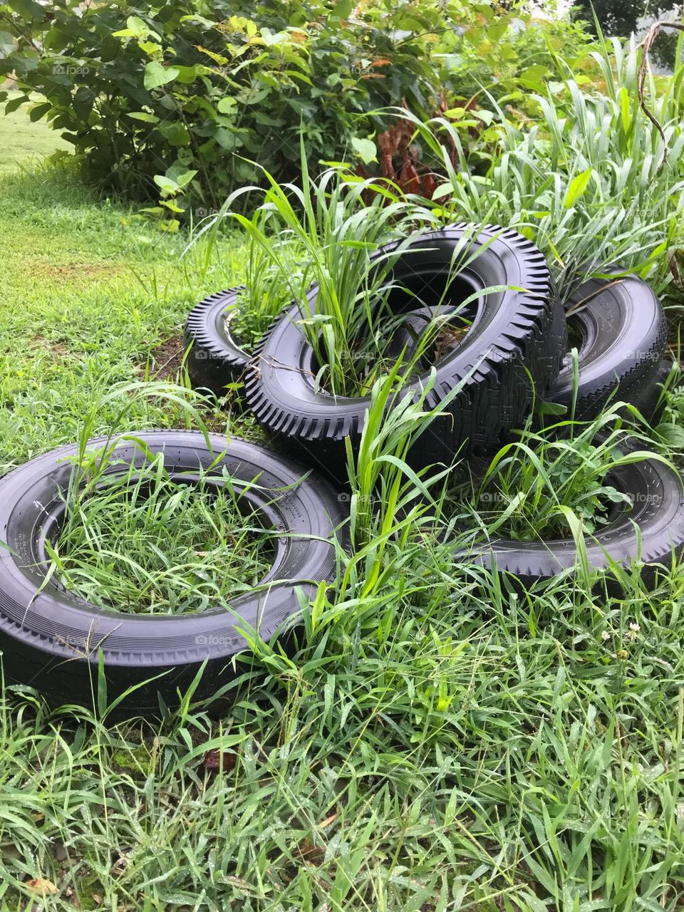 Discarded tires, circles