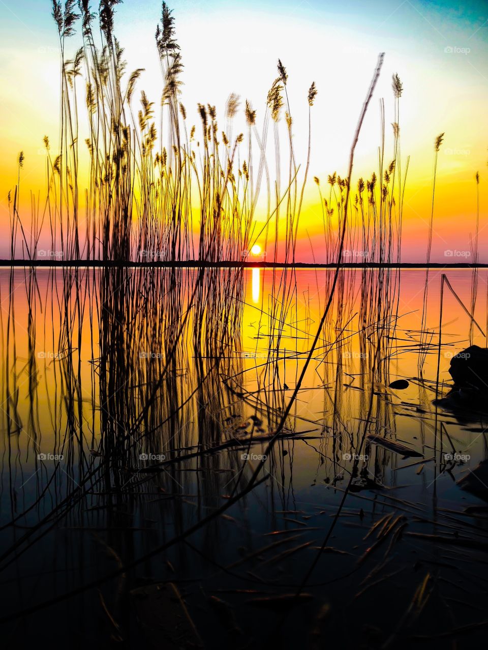 Golden sun! 