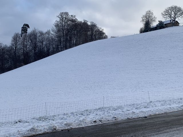 Swiss 