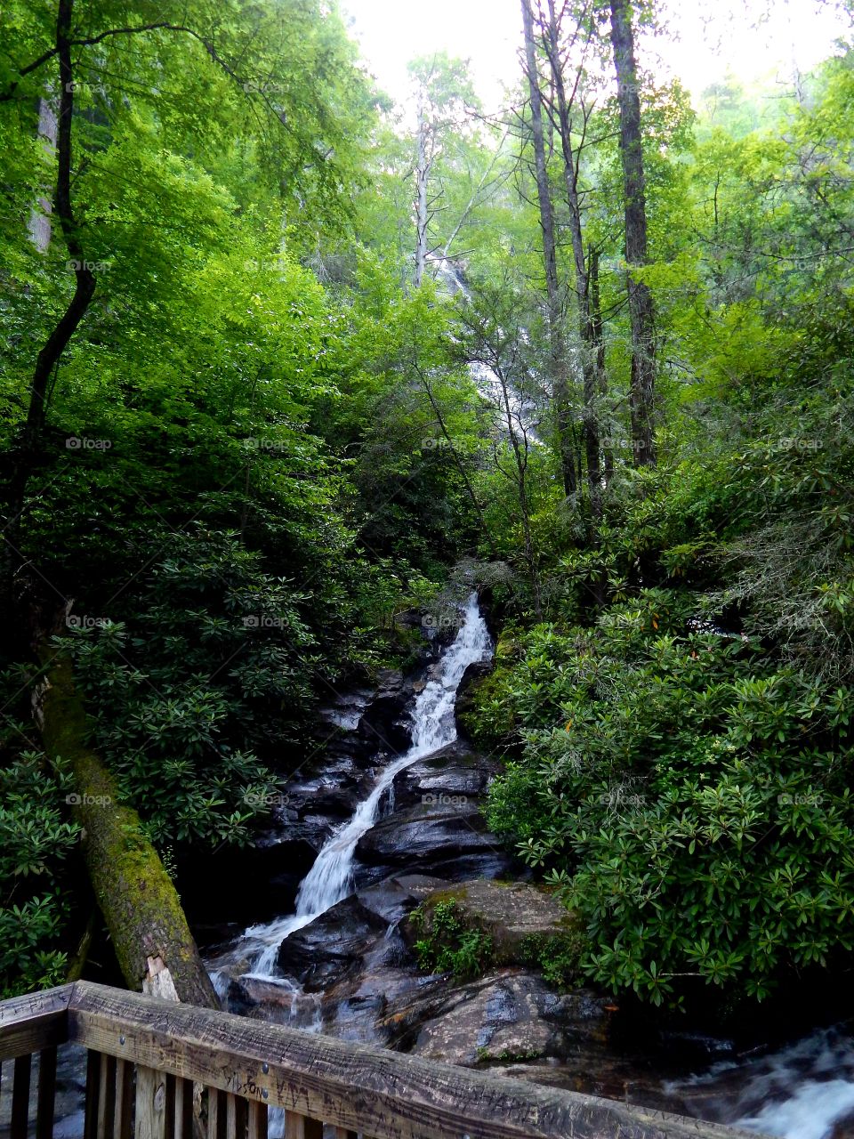 Section of waterfall surrounded by green foliage at Dukes creek falls in the North Georgia mountains