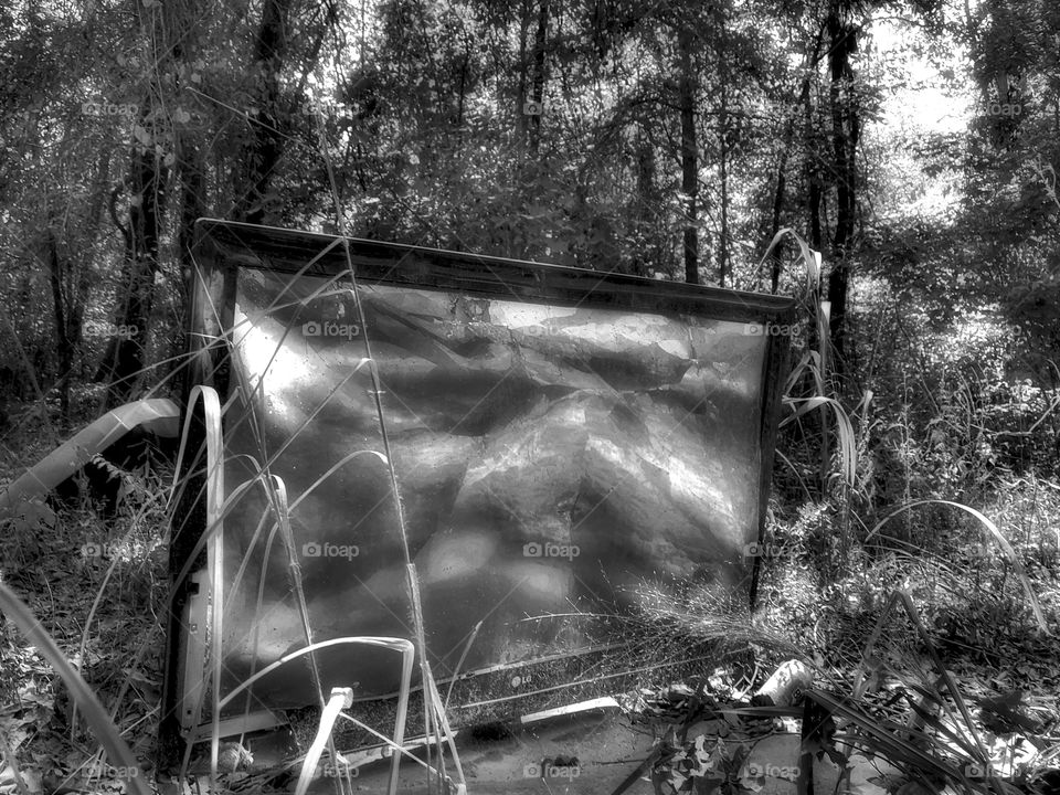 Reflections Of My Life 