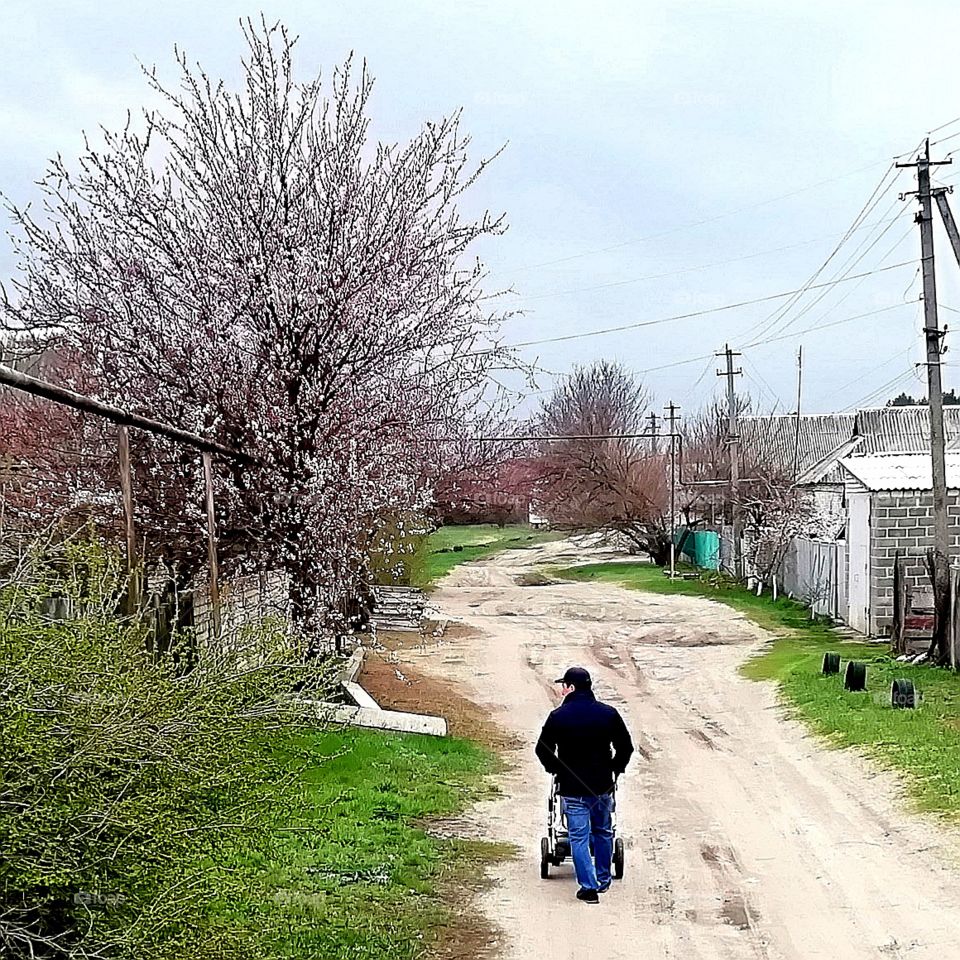 Молодой человек гуляет с ребенком в коляске весной в хорошую погоду. Свежий воздух очень полезен для малышей.