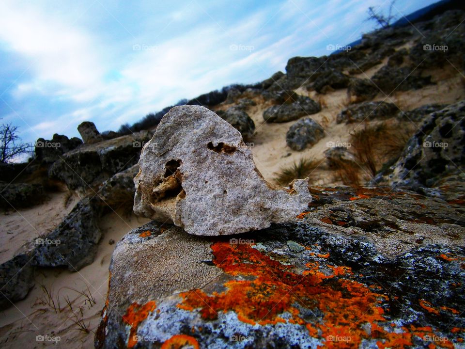 Bulgarian nature.