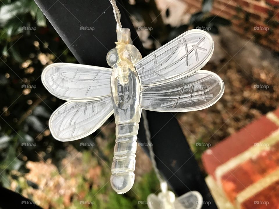 Dragonfly light 