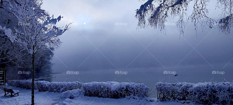 This lakeshore image framed by tree branches comes to us from “Kochel am See”, “Kochel at the Lake”, a small town north of the “Alps” in “Bavaria”, Germany that is famous for its natural hot geyser springs, spas and saunas. 2024. Hypnotic Productions
