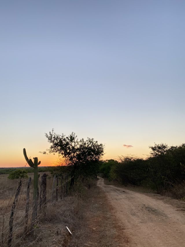 Paisagem sertão 