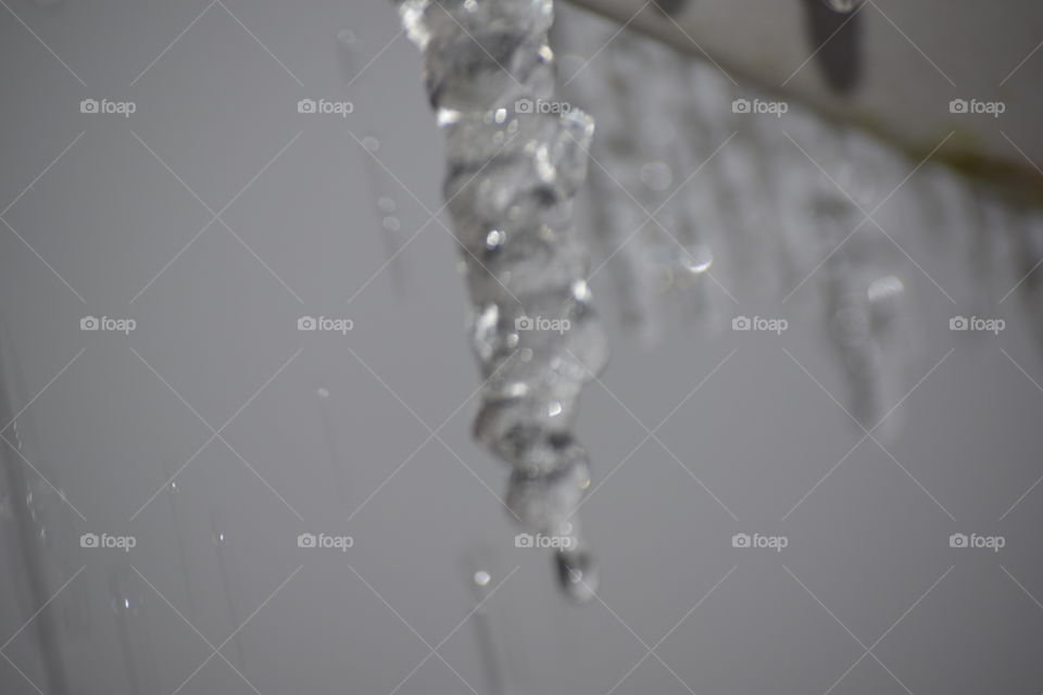 icicles