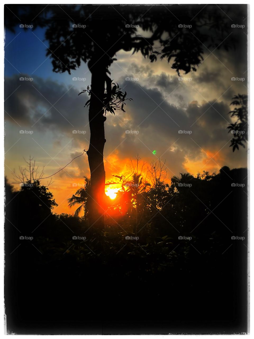 Sun saying good bye for now…!!! See you tomorrow!!!