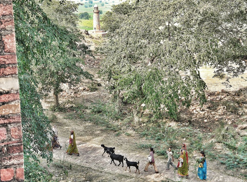 Rural India, Rajasthan . Rural India, Rajasthan 