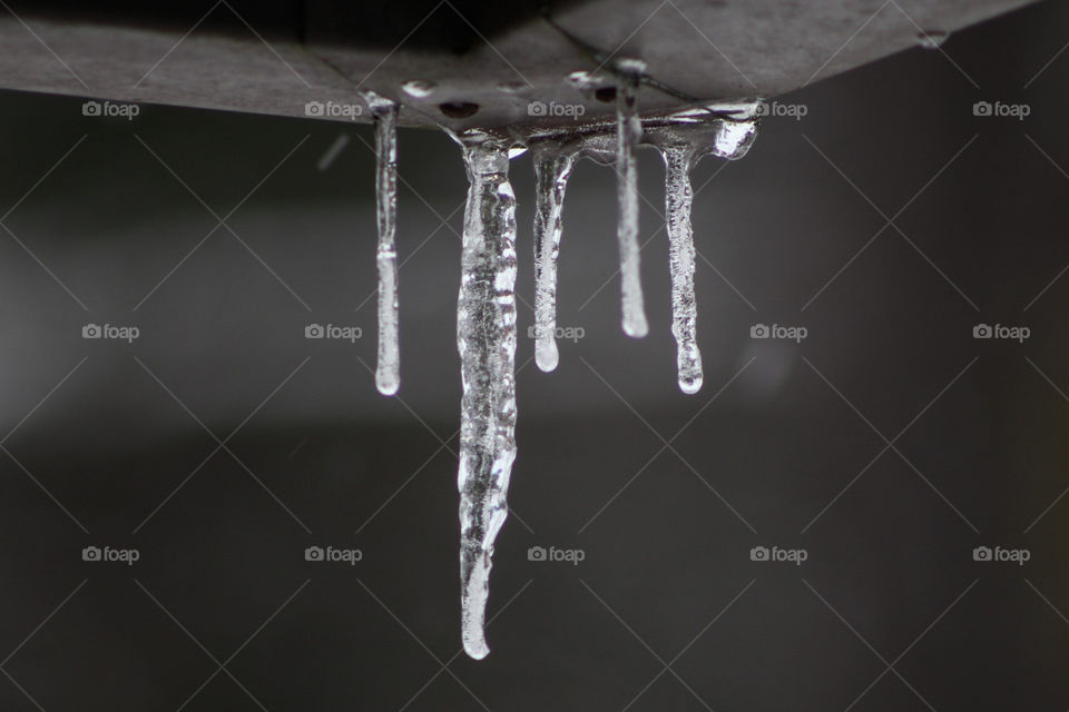 icicles