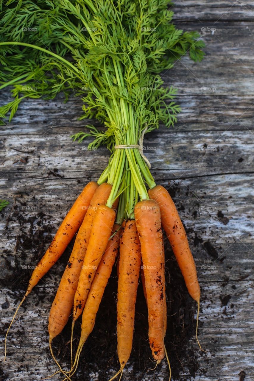Fresh carrots 