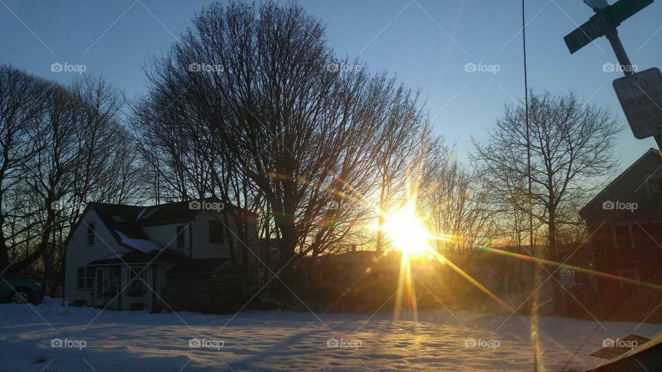 Sun flare through trees with home