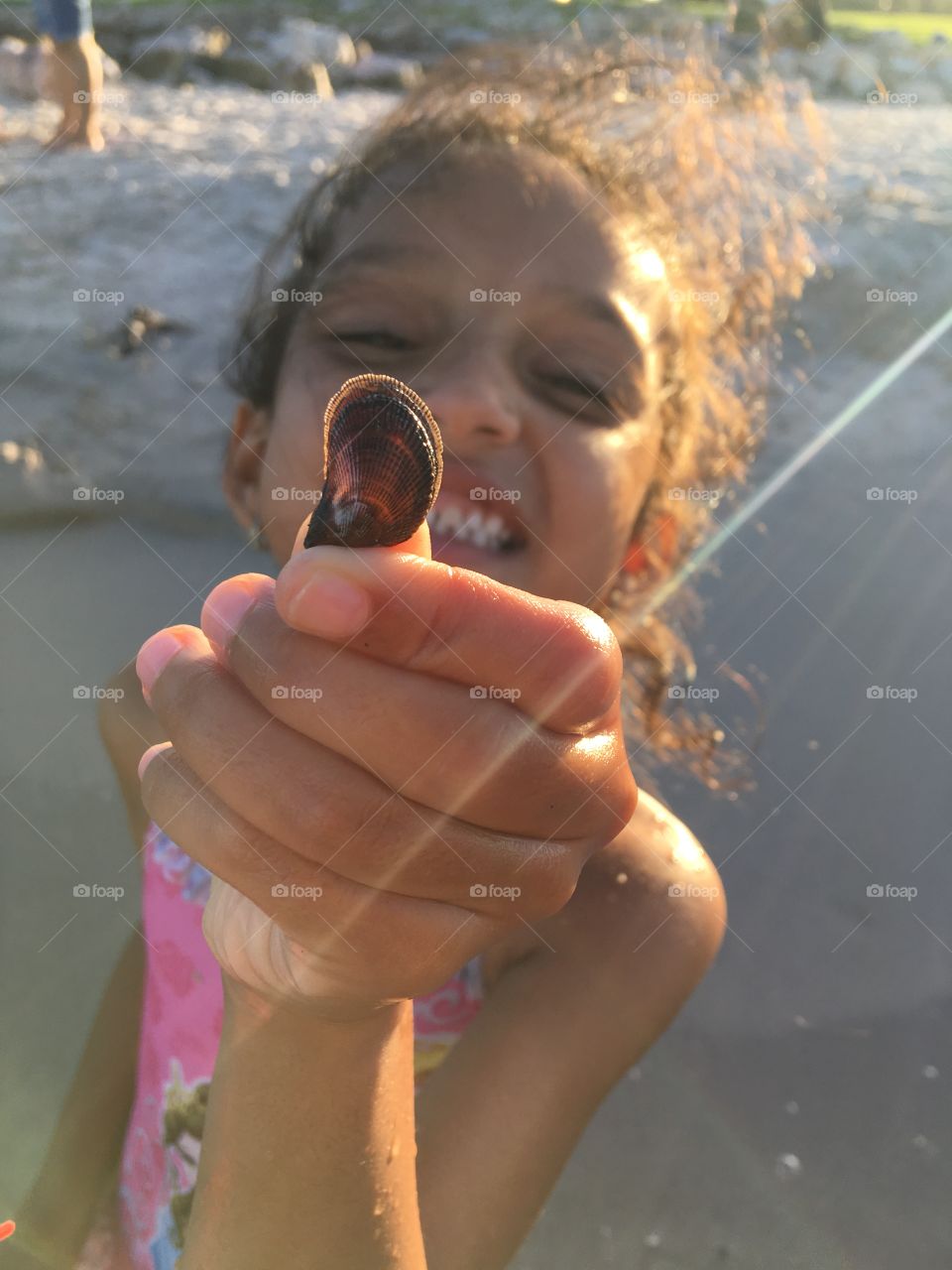 Finding shells on the shore.
