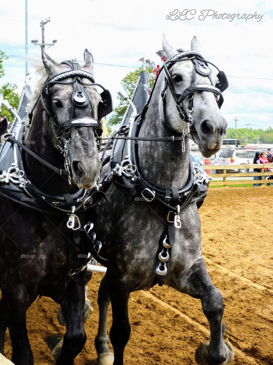 Canfield Fair in Ohio