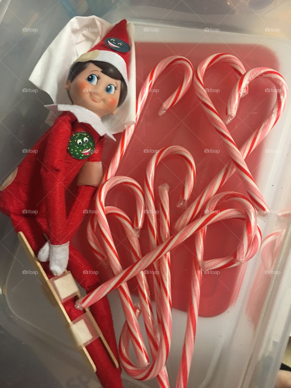 Elf on the Shelf after a bad fall. 