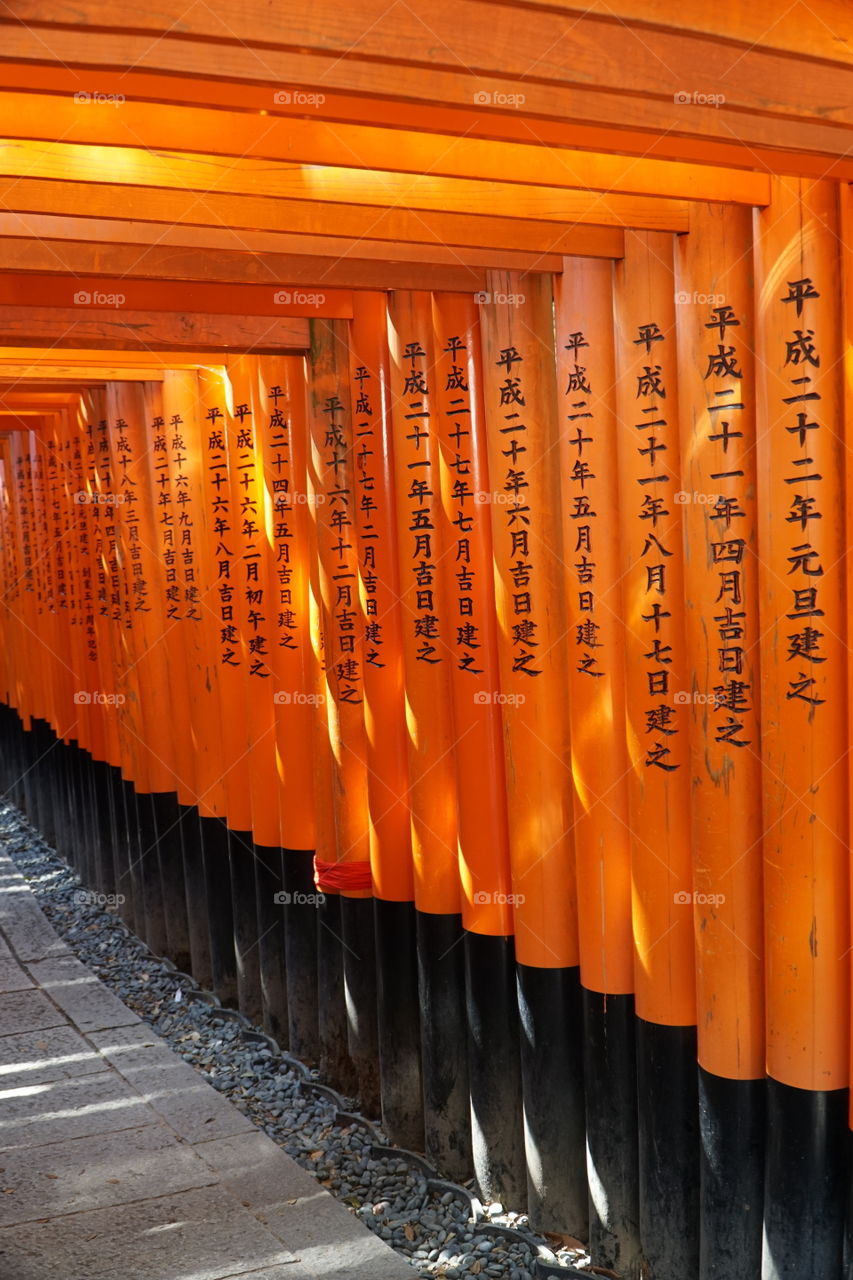 Tori gates at the Fushimi inari Shrine 
