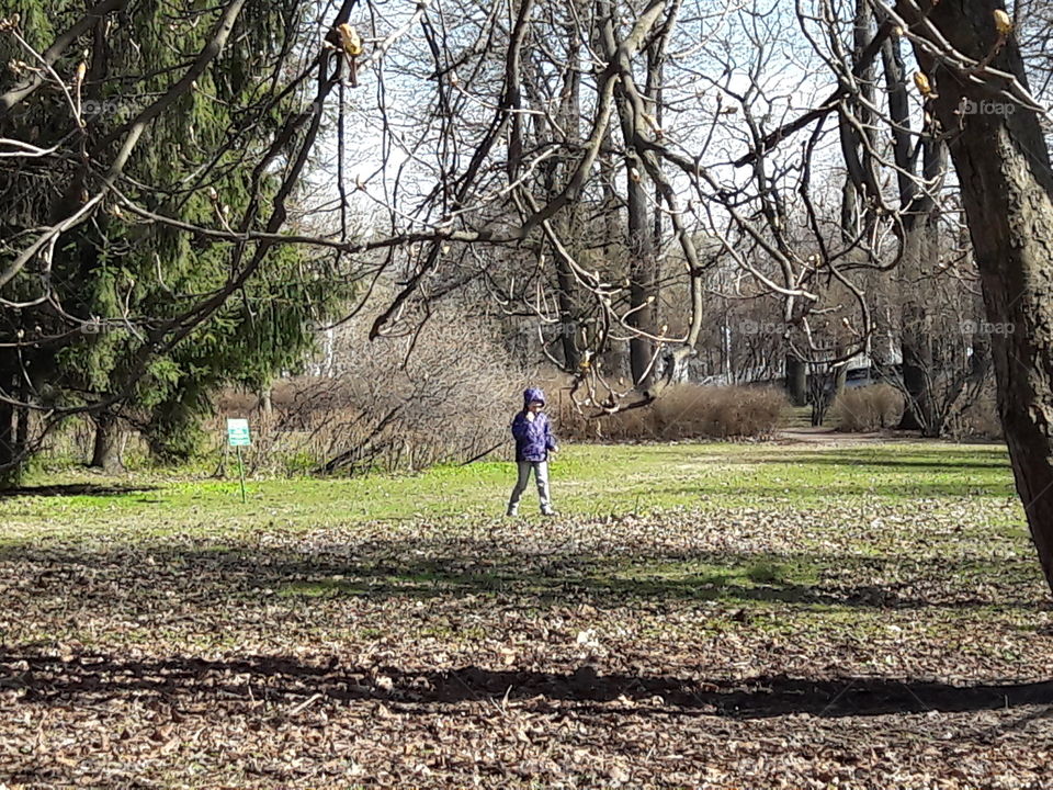 park spring time sun sunny colors colorful nature wild plants flowers amazing stunning cool nice weather hot lovely sky forest grass view splendid