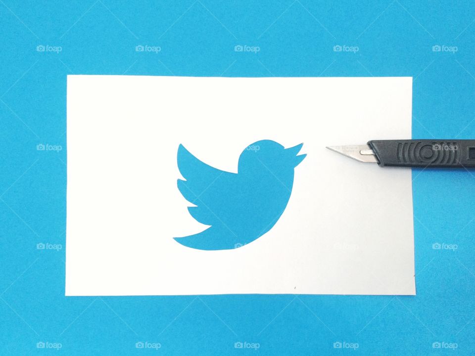 Twitter bird papercut