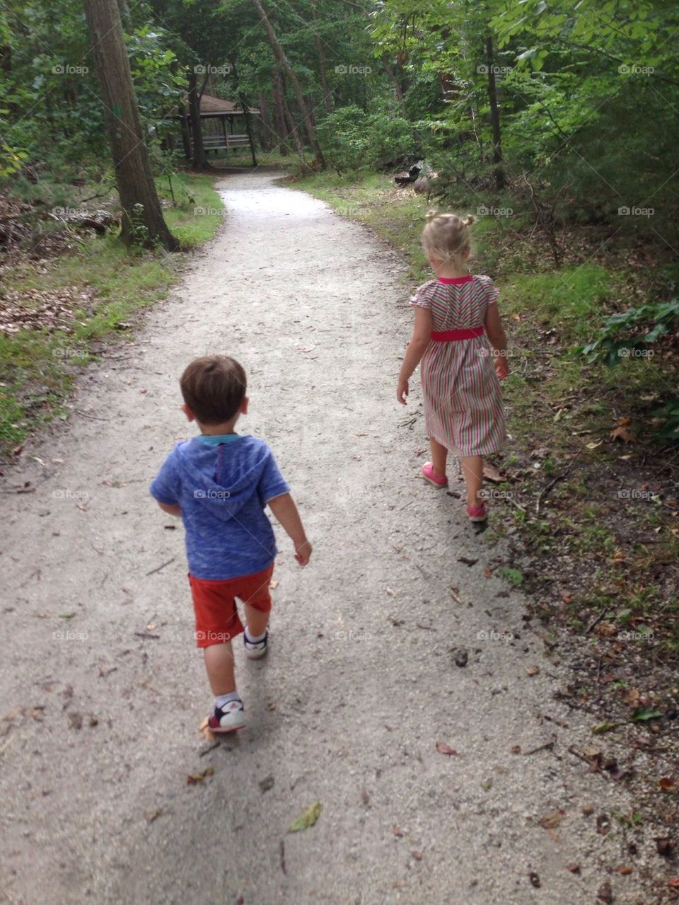 Another day another walk 