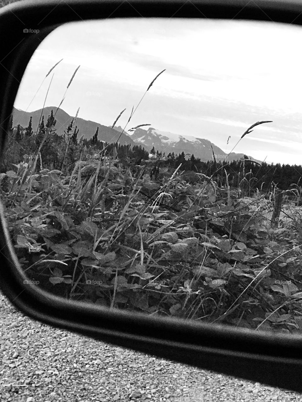 A portrait of a landscape in portrait. The head of the glacier, the white whale Queneesh, is seen sitting amidst her friends the mountains. Her body is obscured by the vegetation & the treeline in the foreground & all is reflected in the car mirror.🐋