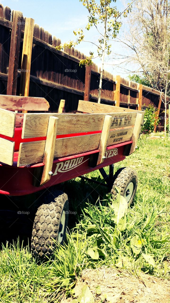 little red wagon