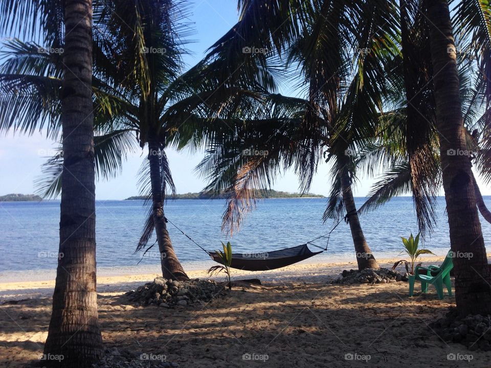 Hammock hanging from coconut trees