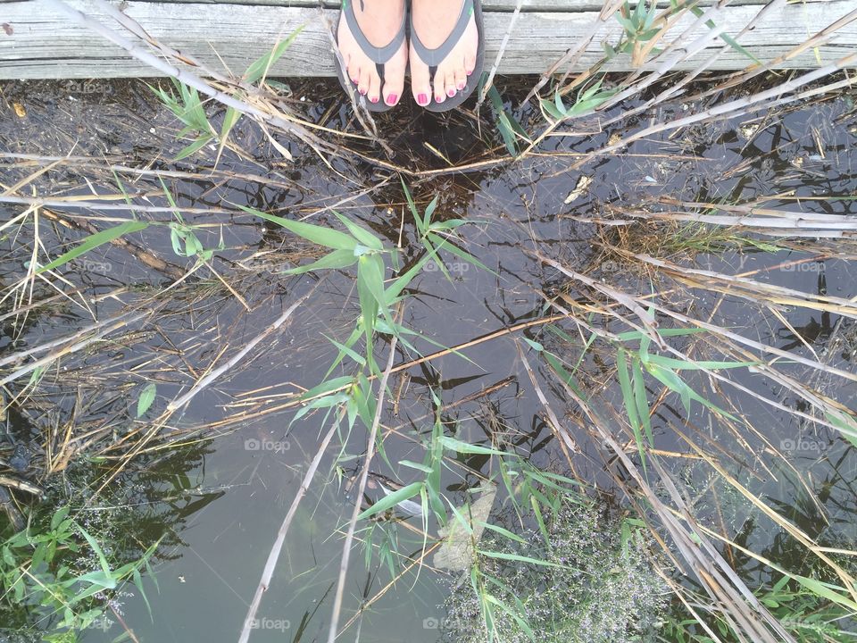 Water in the lagoon