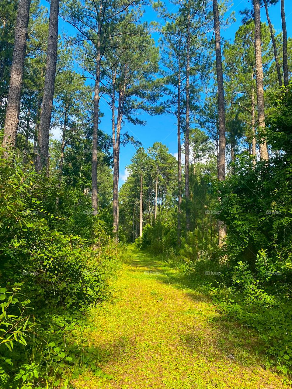 Beautiful hike