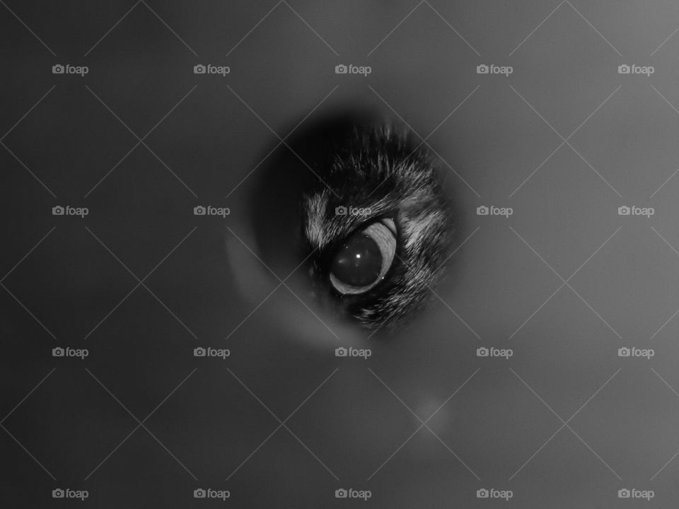 What are you looking at?