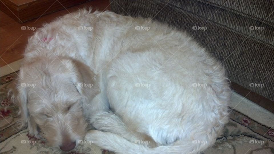 nap time