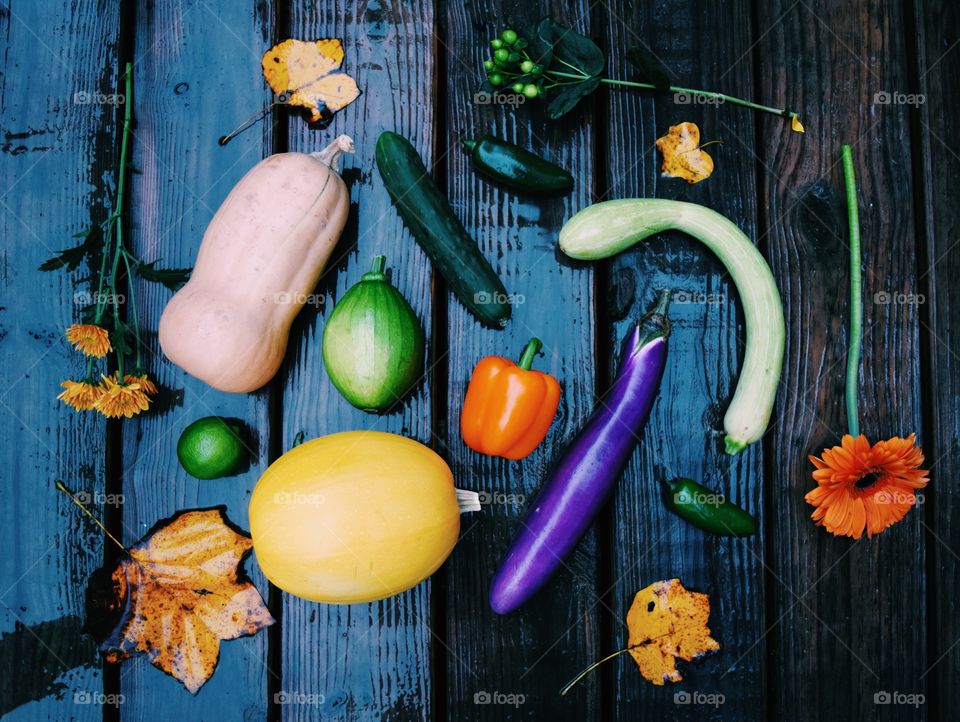 Fresh Fall Veggies