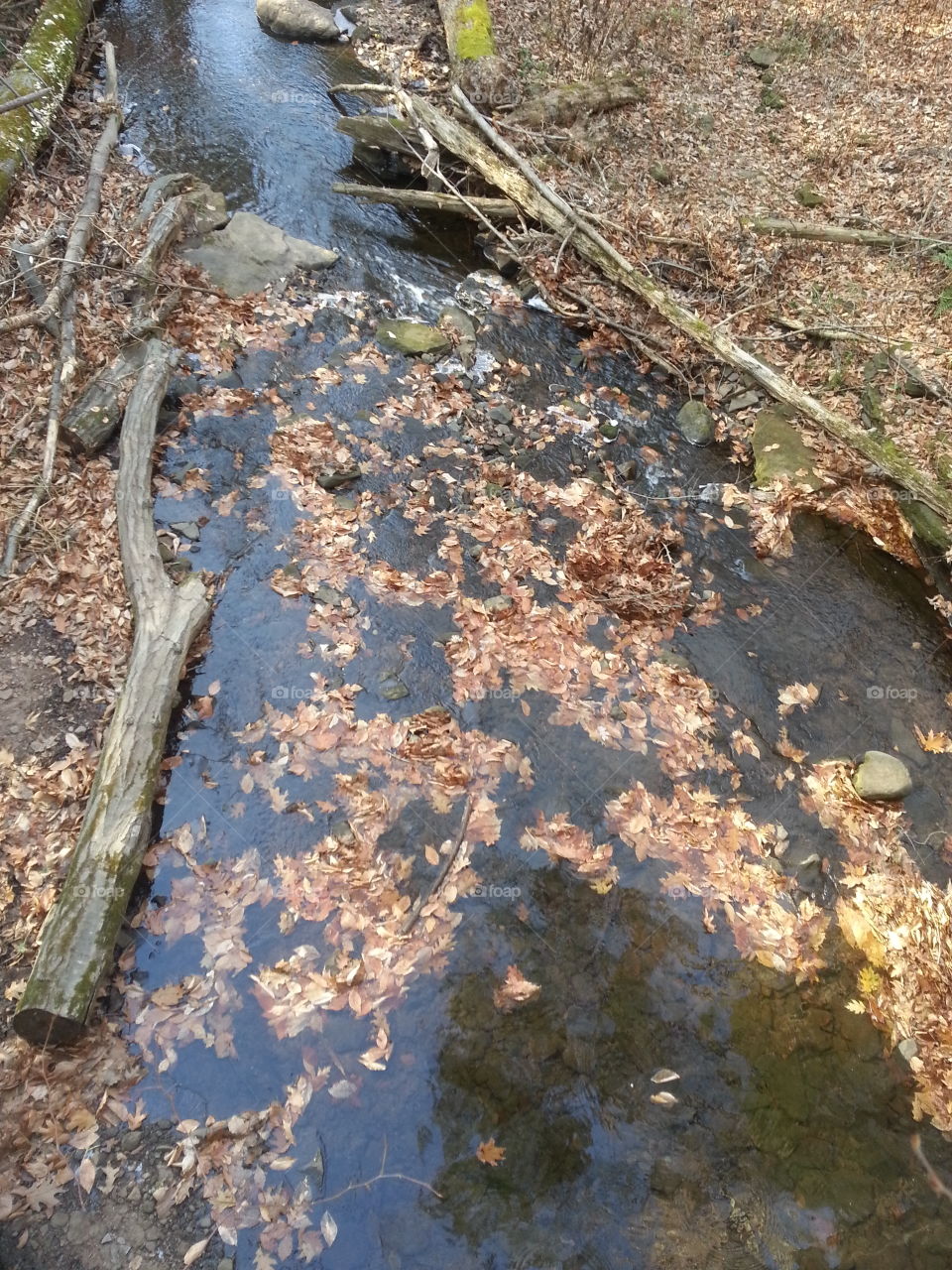 View beyond the bridge