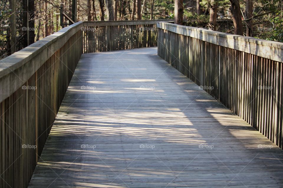 Walkway through the Cape May County, NJ Zoo. 
