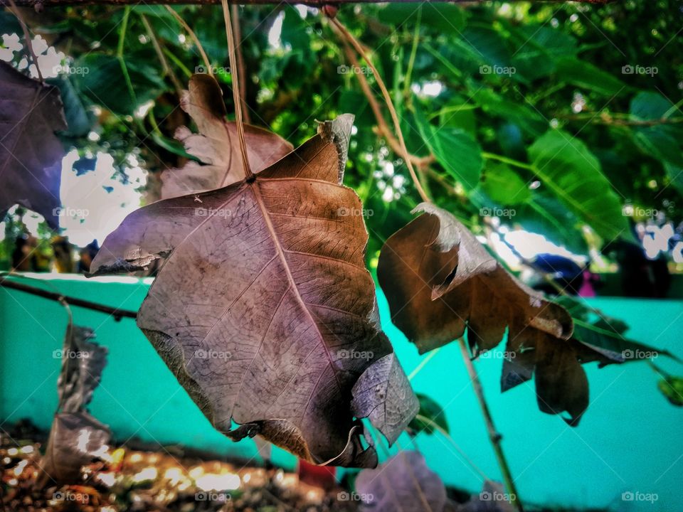 autumn weather conditions