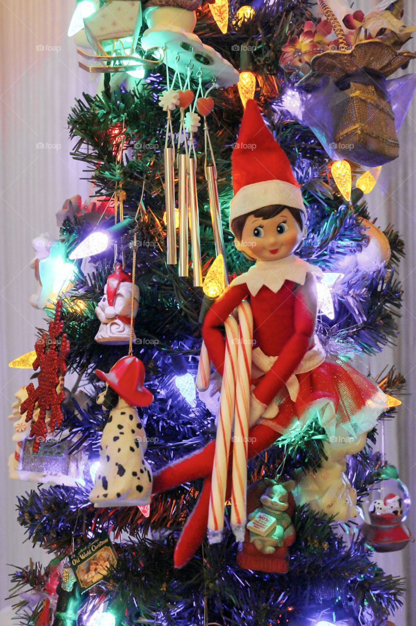 Silly elf in the tree