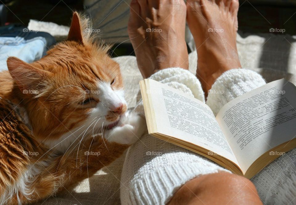 woman and cat happiness