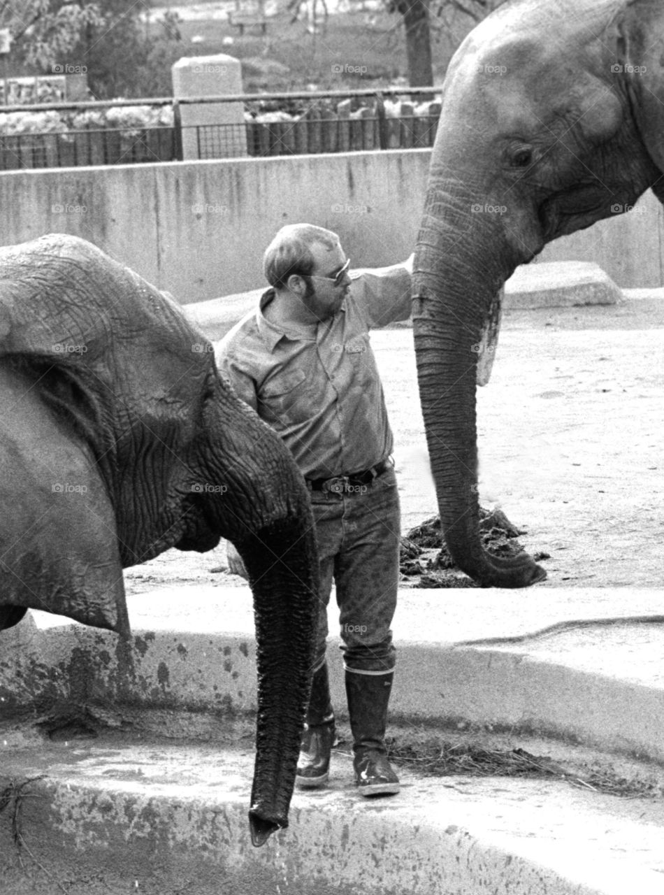 Elephant Trainer. Elephant Trainer