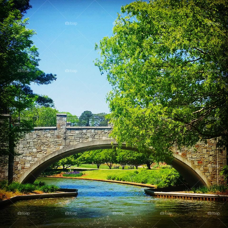 Bridge in the Gardens. Took a boat tour at the Norfolk Botanical Garden's with my wife and in laws.  